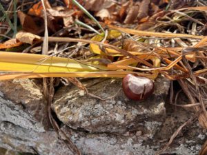 2. Herbstfest für Mitglieder